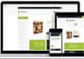 build modern book author website or ebook author website